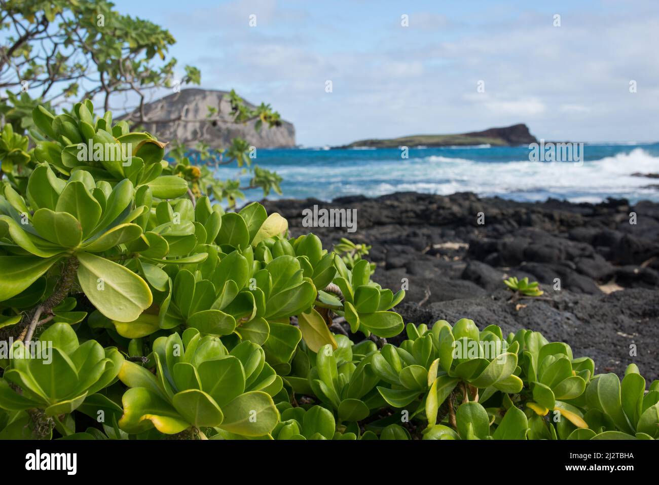 Black rock beach Stock Photo Alamy