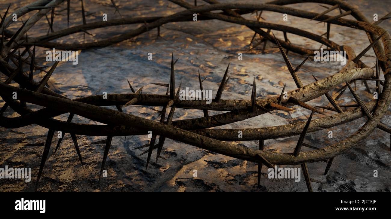 Risen crown thorns on hi-res stock photography and images - Alamy