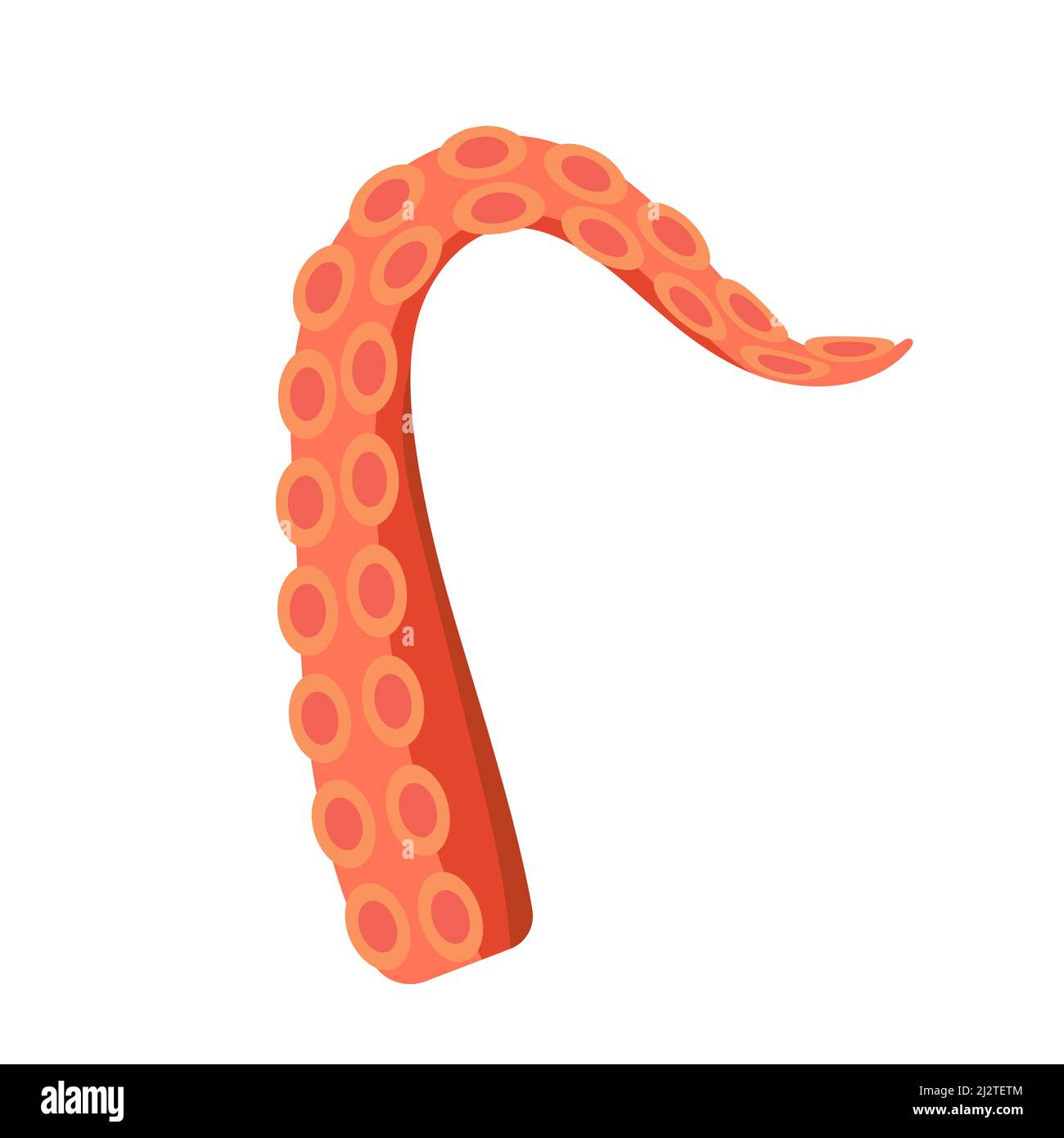 Octopus tentacle vector giant illustration monster sea creature ...