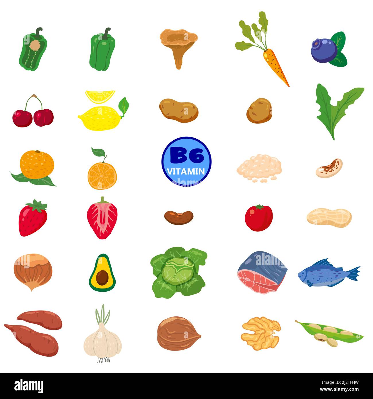 Set of Vitamin B6 origin natural sources. Healthy diary food meat