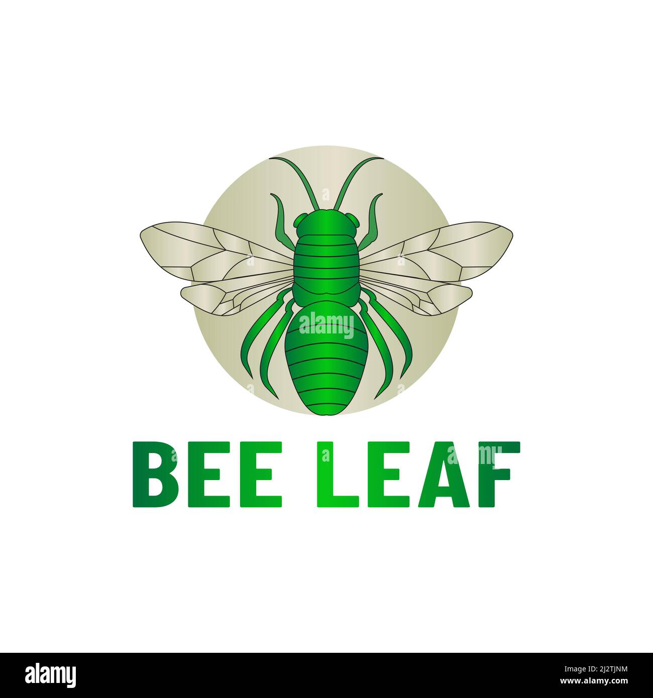 Green abstract bee logo outline in circle, simple and modern Stock Vector