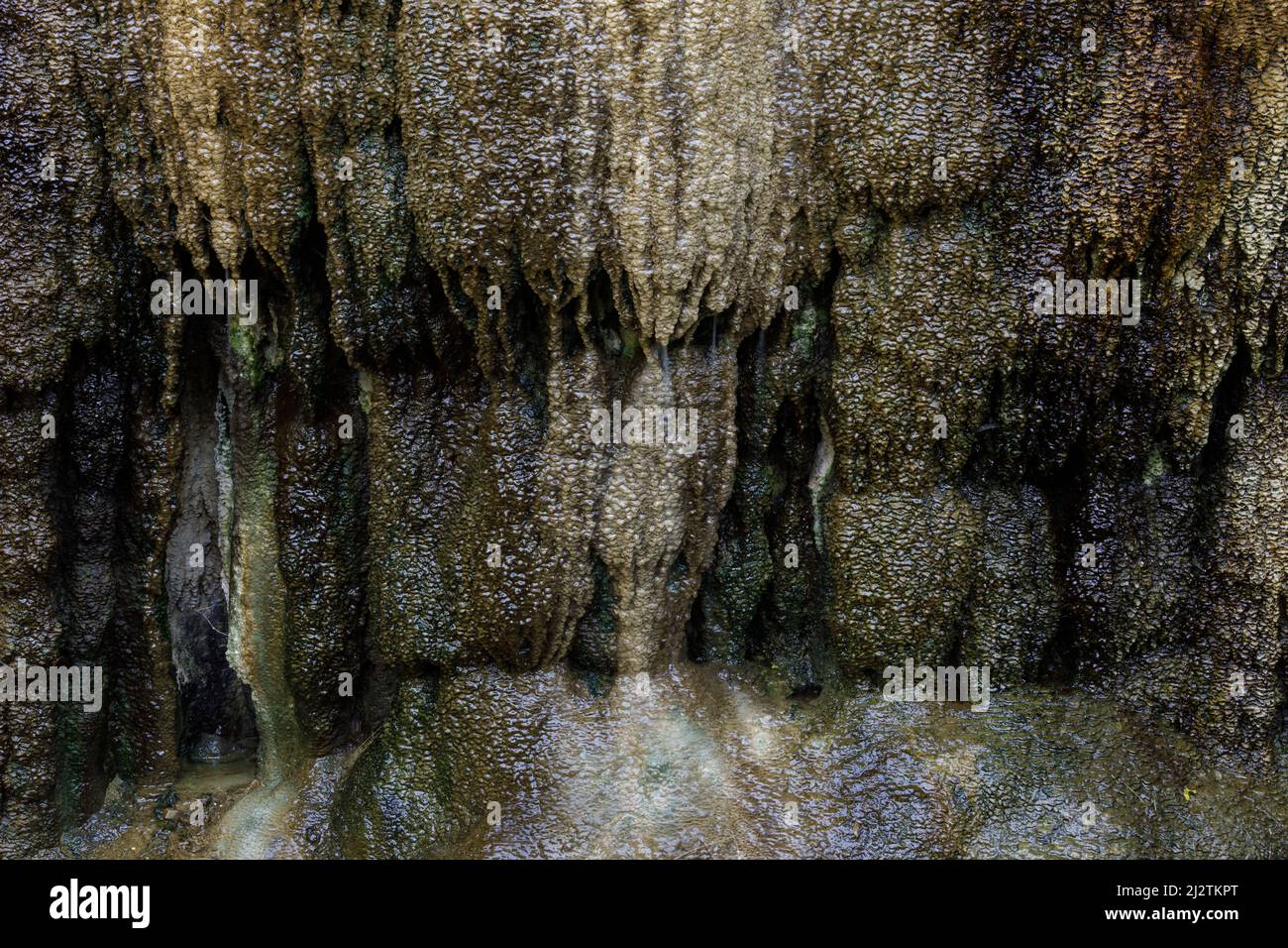 Rock Formation at Historic Mineral Springs at Alum Rock Park. San Jose, California, USA. Stock Photo