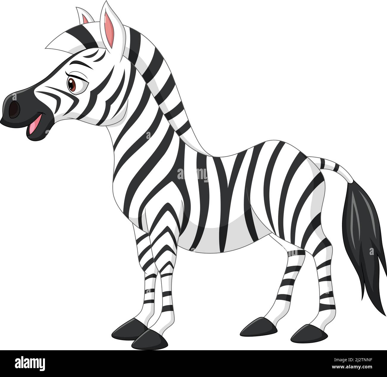 Cute baby zebra isolated on white background Stock Vector Image & Art -  Alamy