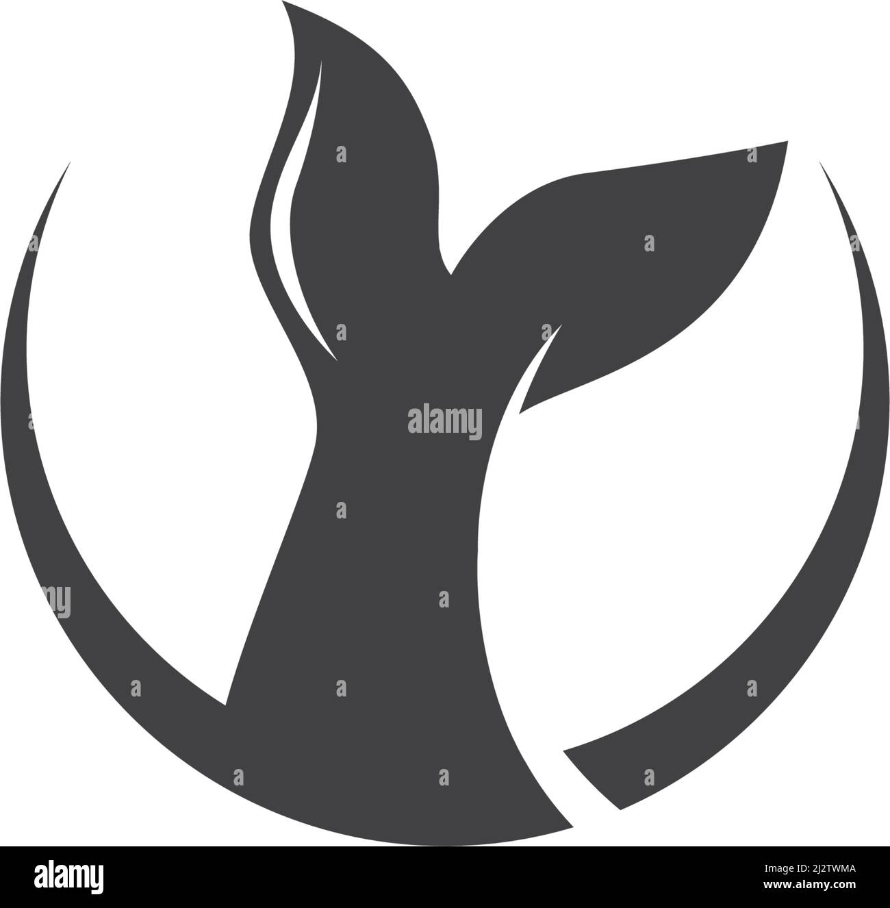 Whale logo illustration vector flat design Stock Vector Image & Art - Alamy