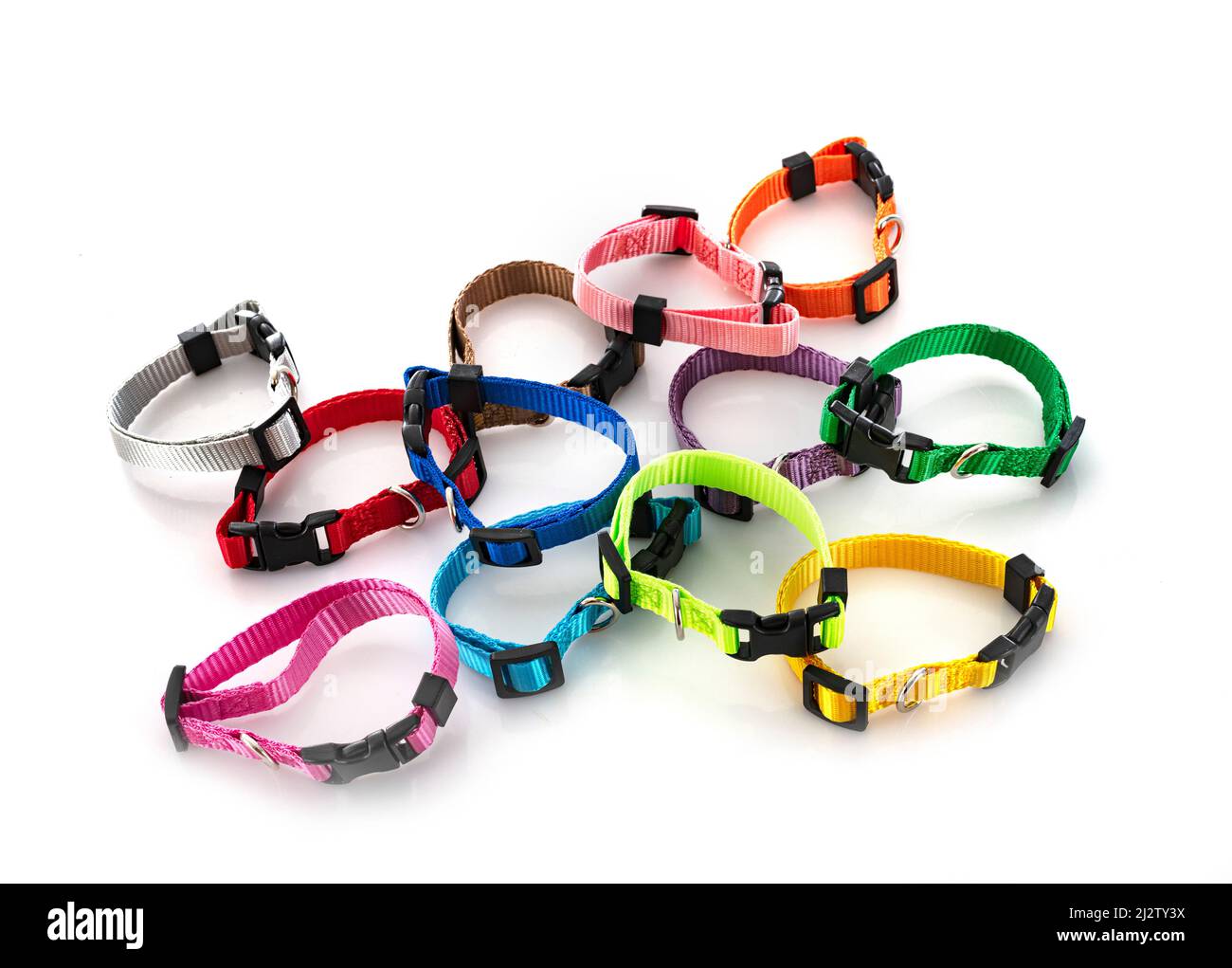 colorful collars in front of white background Stock Photo - Alamy