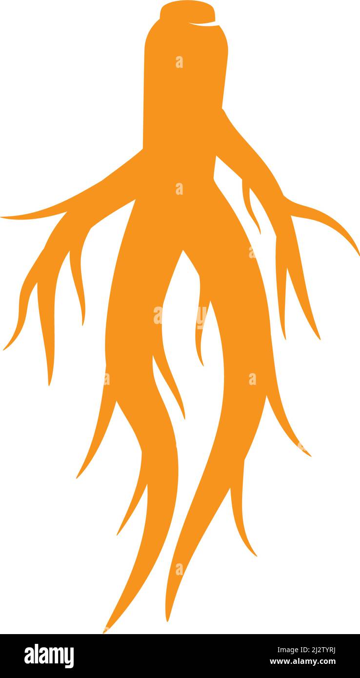 Ginseng logo illustration vector template Stock Vector