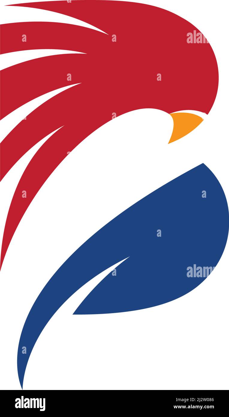 Initial B letter Falcon Eagle Bird Logo Template vector Stock Vector