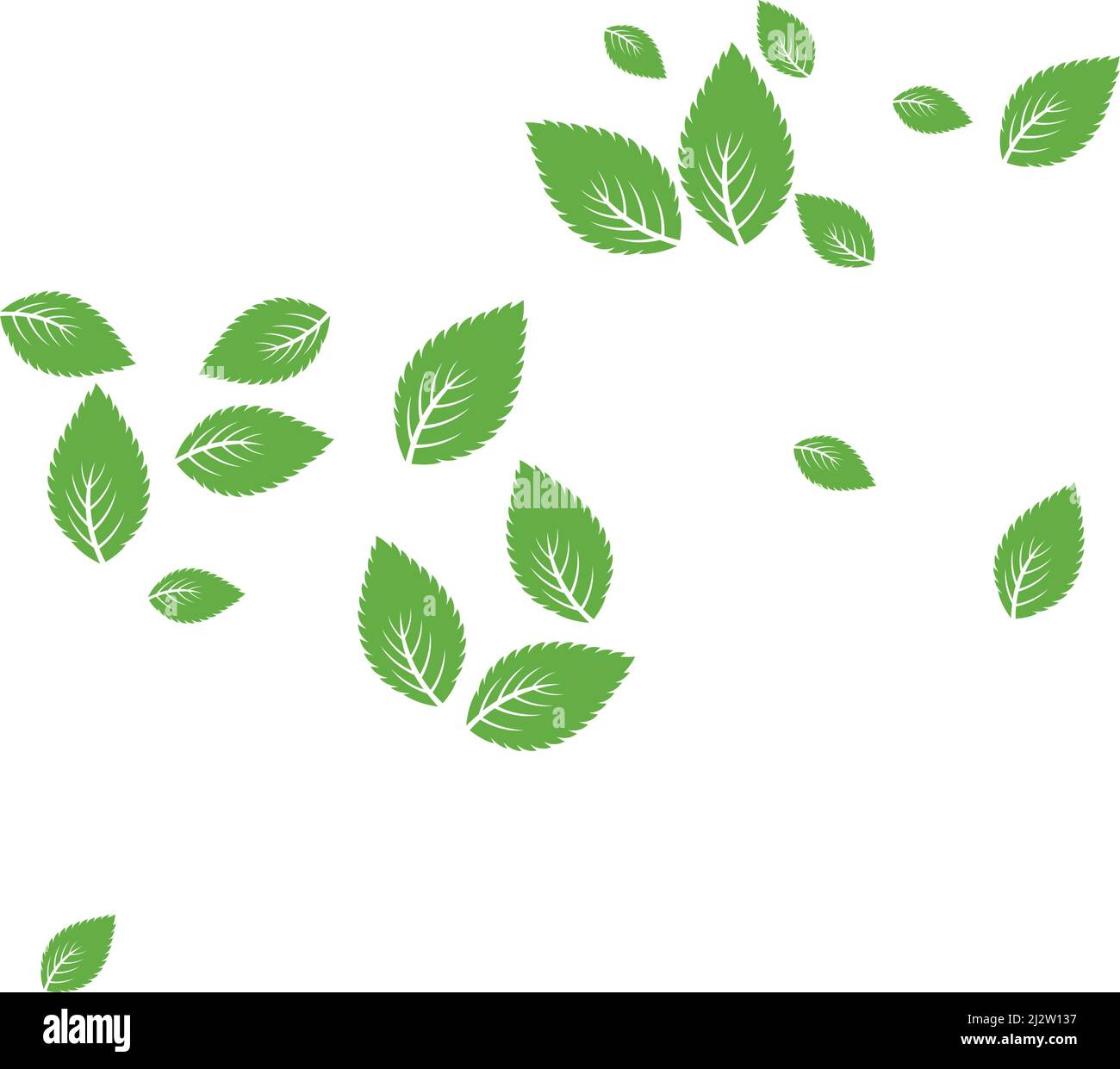 Mint leaf Background pattern illustration vector Stock Vector Image ...