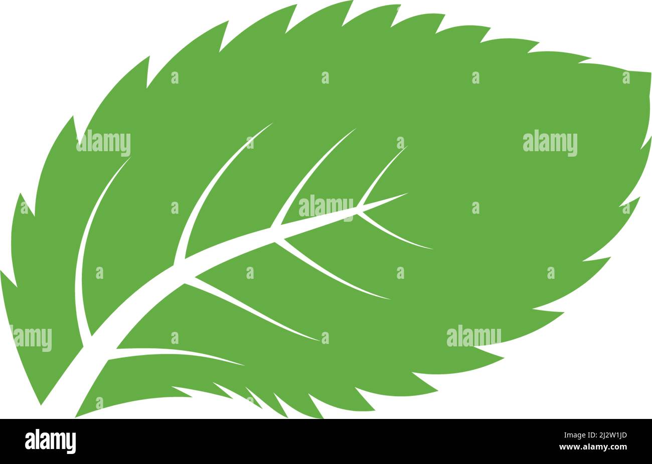 Mint leaf logo illustration vector Stock Vector