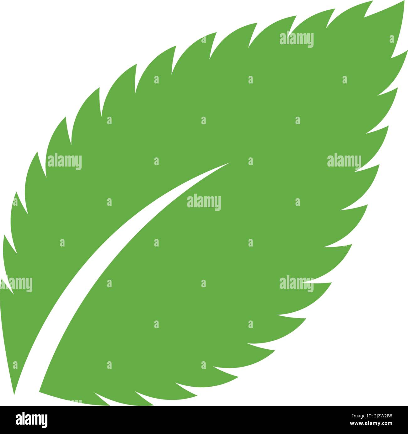Mint leaf logo illustration vector Stock Vector