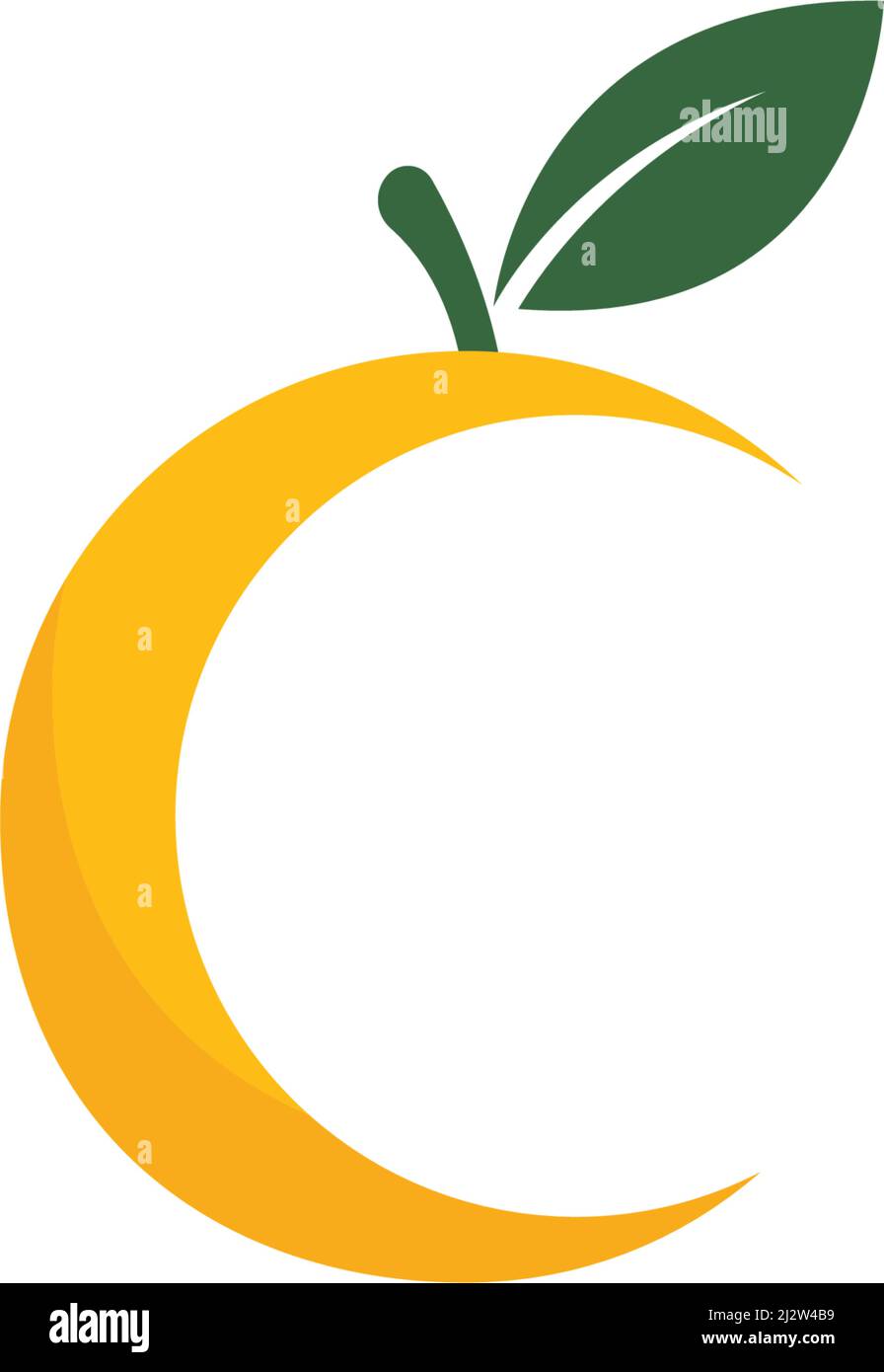 Orange fruit logo Vector illustration template Stock Vector