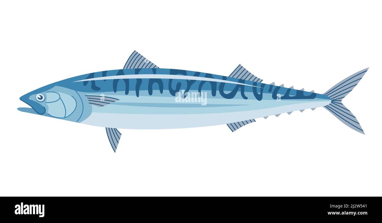 Sea fish mackerel. Underwater marine life. Cooking delicious food. Flat vector illustration isolated on a white background Stock Vector