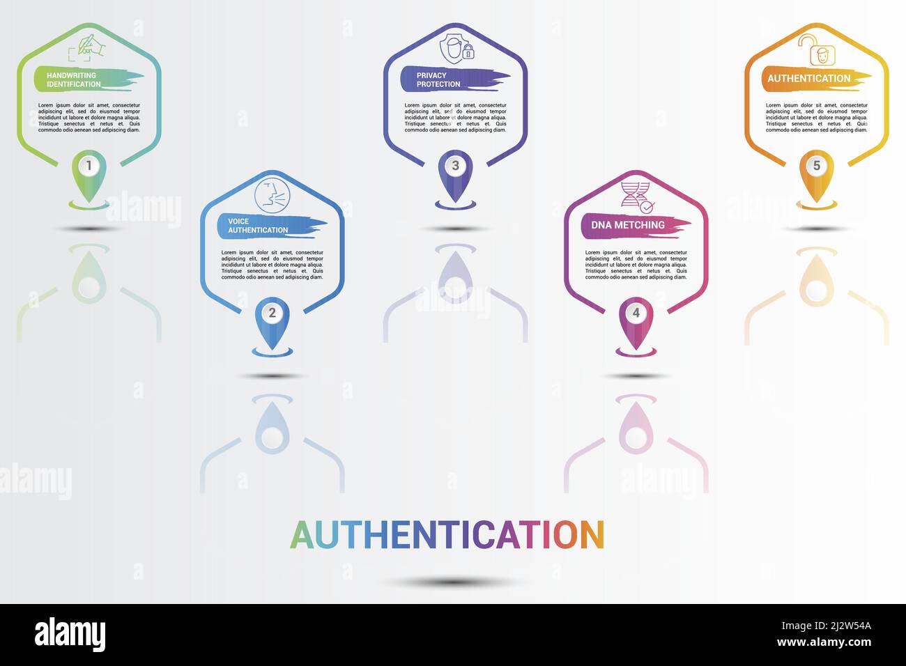Infographic Authentication icons vector illustration. 5 colored steps info template with editable text. Stock Vector