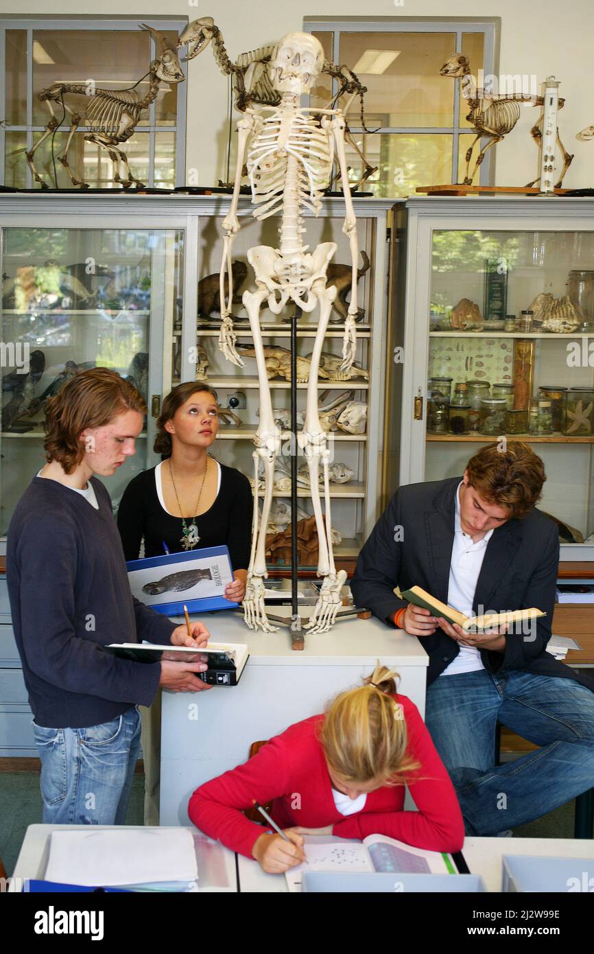 Netherlands, Arnhem students at highschool in the biology classroom working on an educational