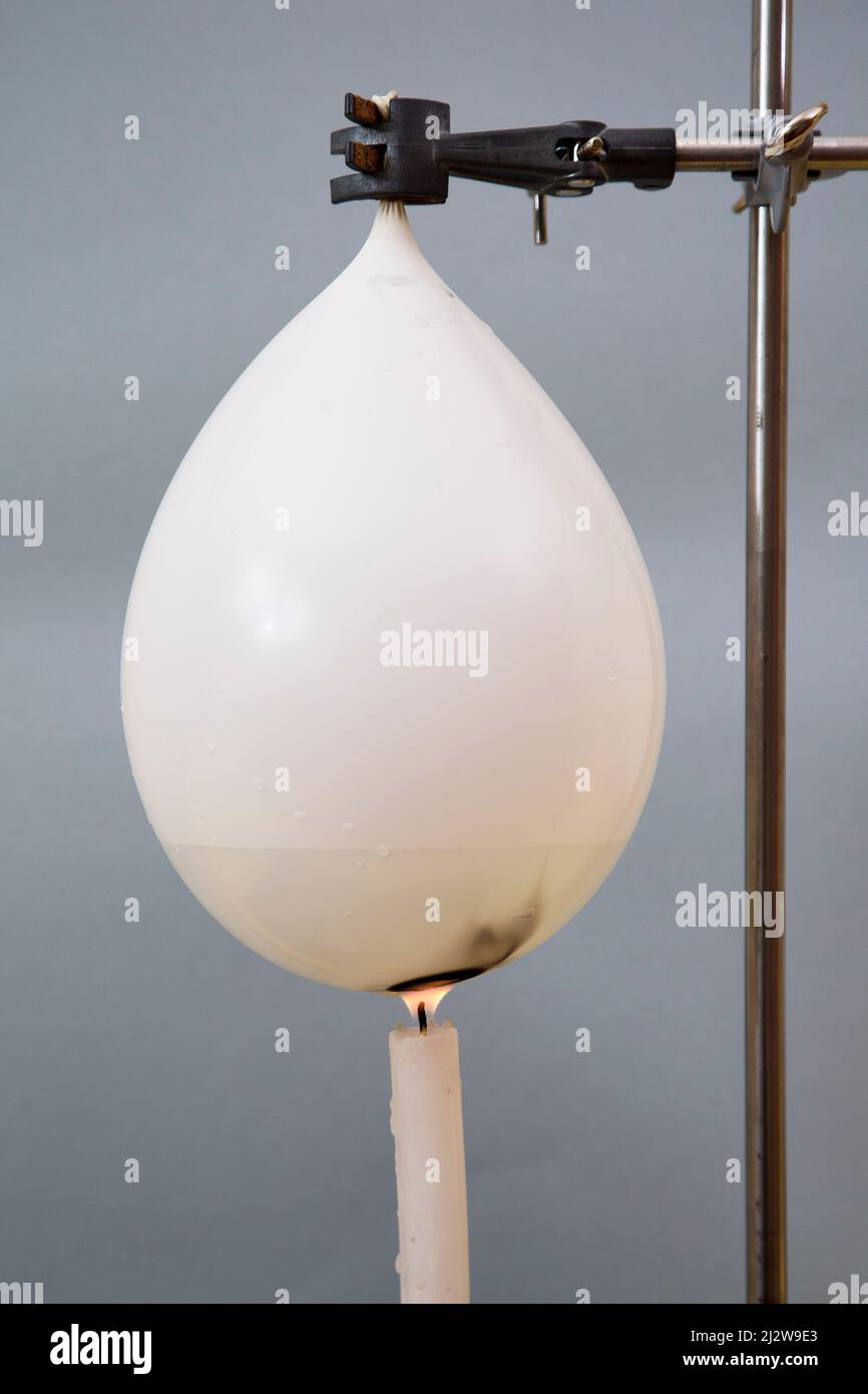Normally if you put a balloon over a flame, the balloon will pop. But when you put a water balloon over a flame it won't. Stock Photo