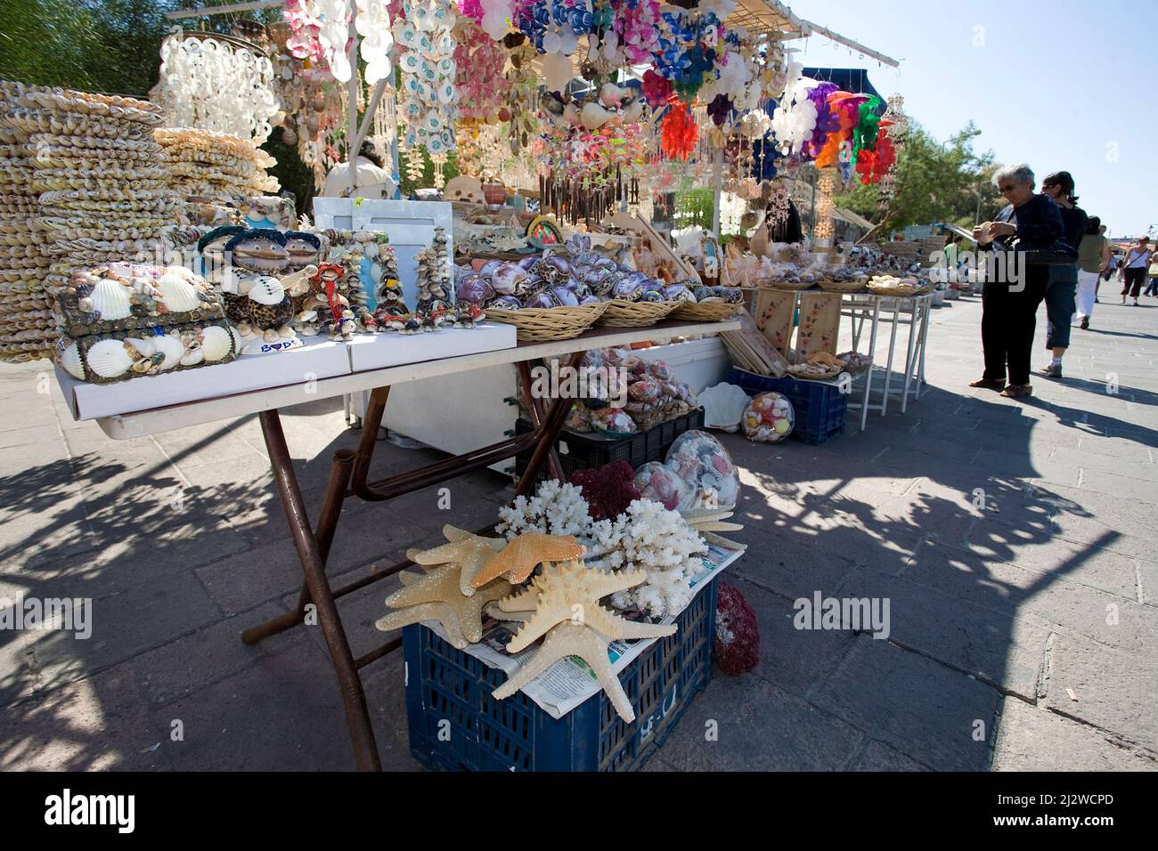 Shop sells dead sea animals and shells as souvenirs, Bodrum, Aegaeis, Turkey, Mediteranean sea Stock Photo