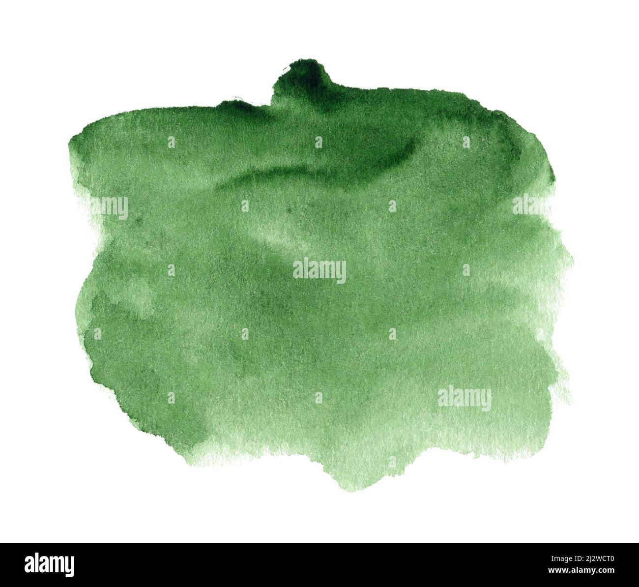 Abstract green watercolor spot isolated on white background Stock Photo ...