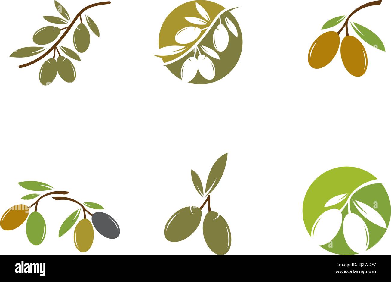 Olive tree icon flat hi-res stock photography and images - Alamy