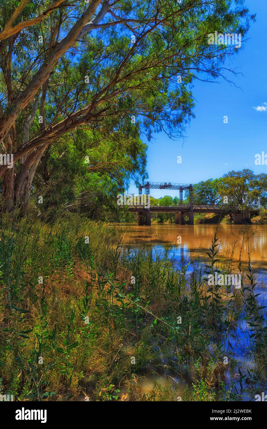 Baker park on shores of Darling river in Wilcannia town with historic bridge on Barrier highway. Stock Photo