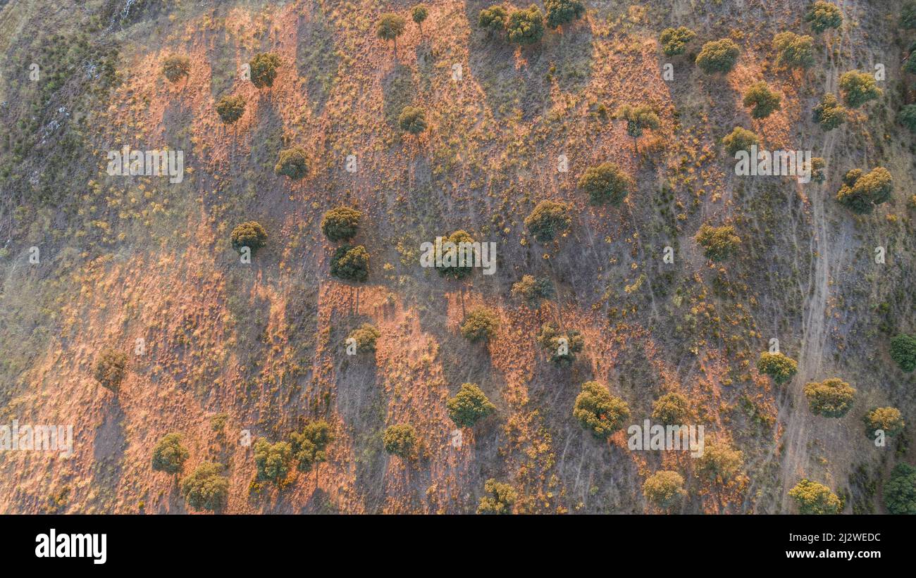 aerial view of tilled fields Stock Photo Alamy aerial view of tilled fields Stock Photo Alamy
