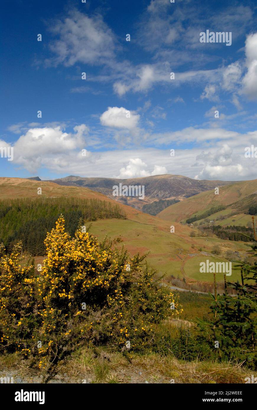 View from South of Cader/Cadair Idris Stock Photo