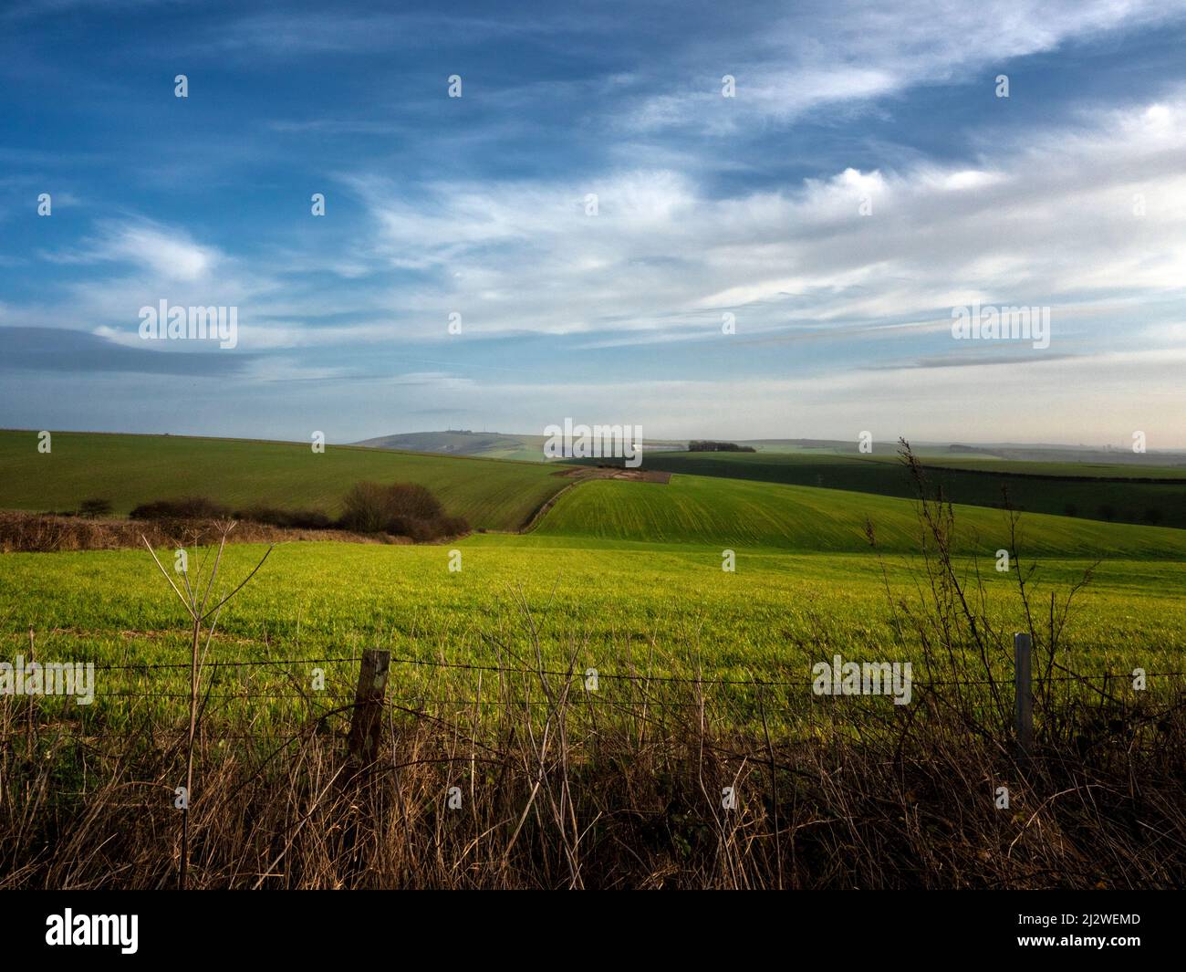South Downs, Sussex, England, UK Stock Photo