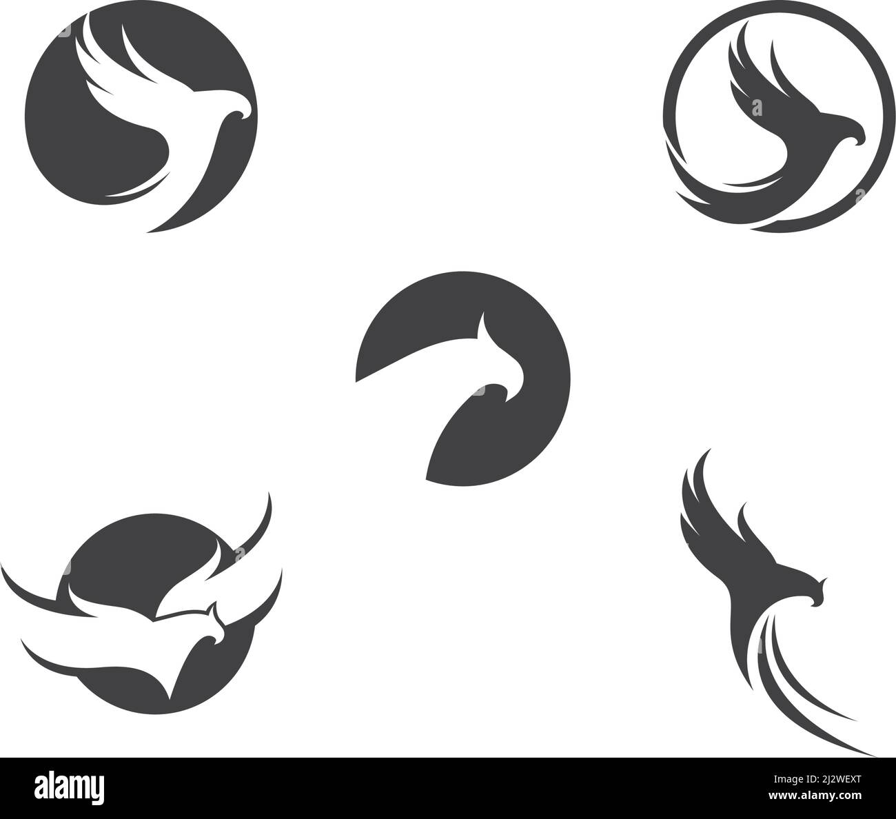 Falcon Eagle Bird Logo Template vector Stock Vector Image & Art - Alamy