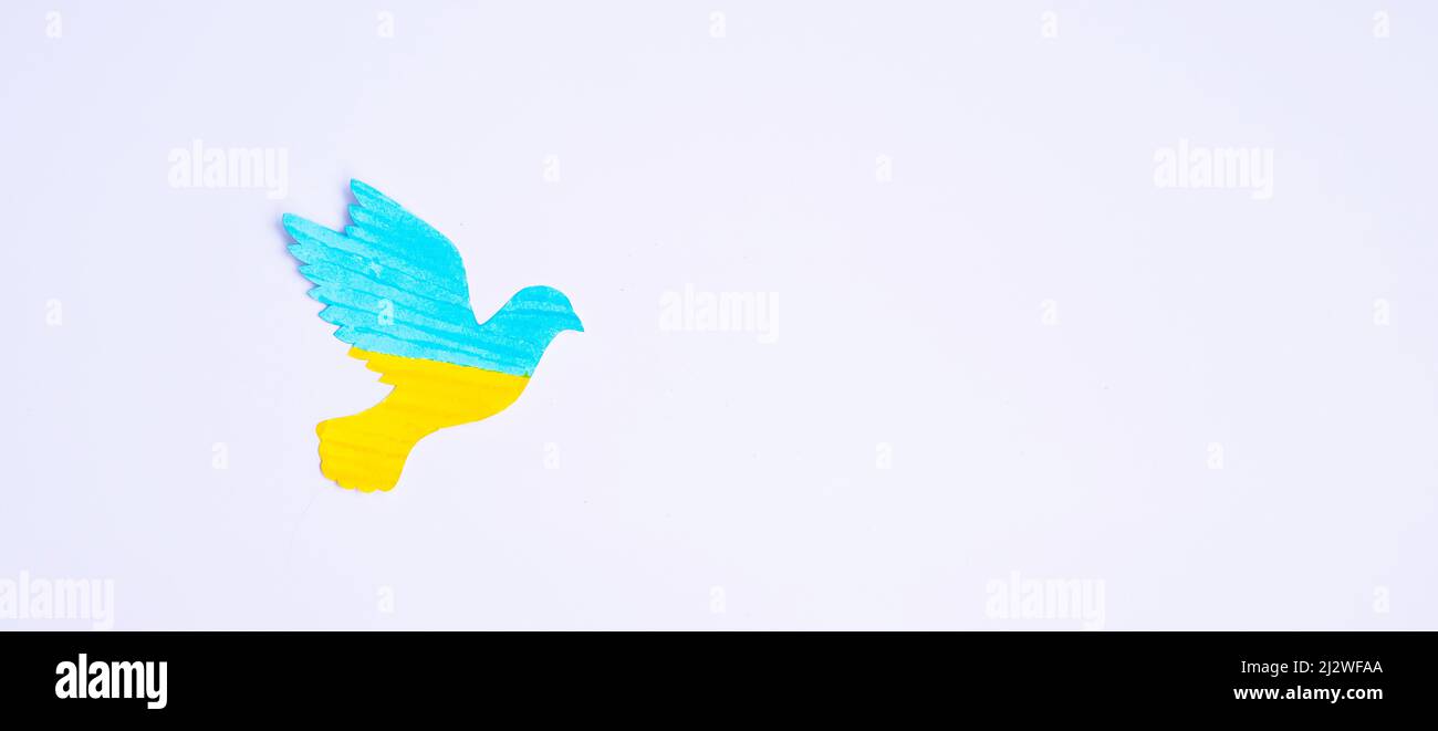 Support for Ukraine in the war with Russia, peace dove with flag of Ukraine. Pray, No war, stop war and stand with Ukraine concepts Stock Photo
