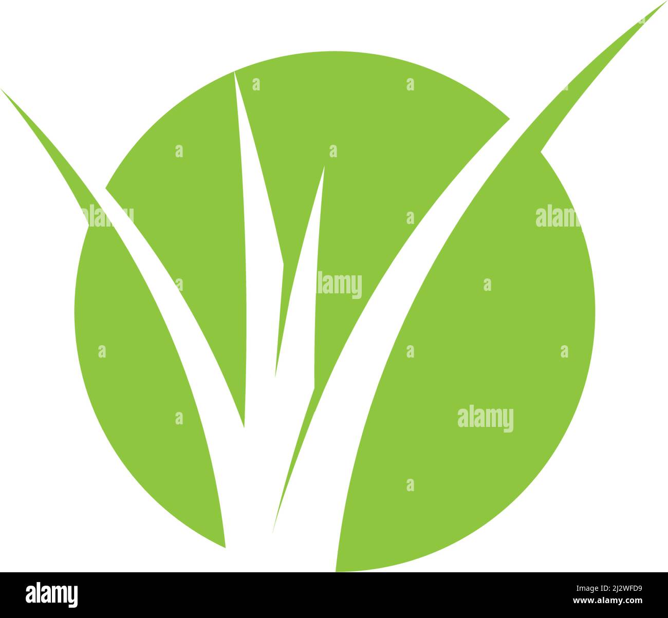 Natural Grass ilustration logo vector design Stock Vector