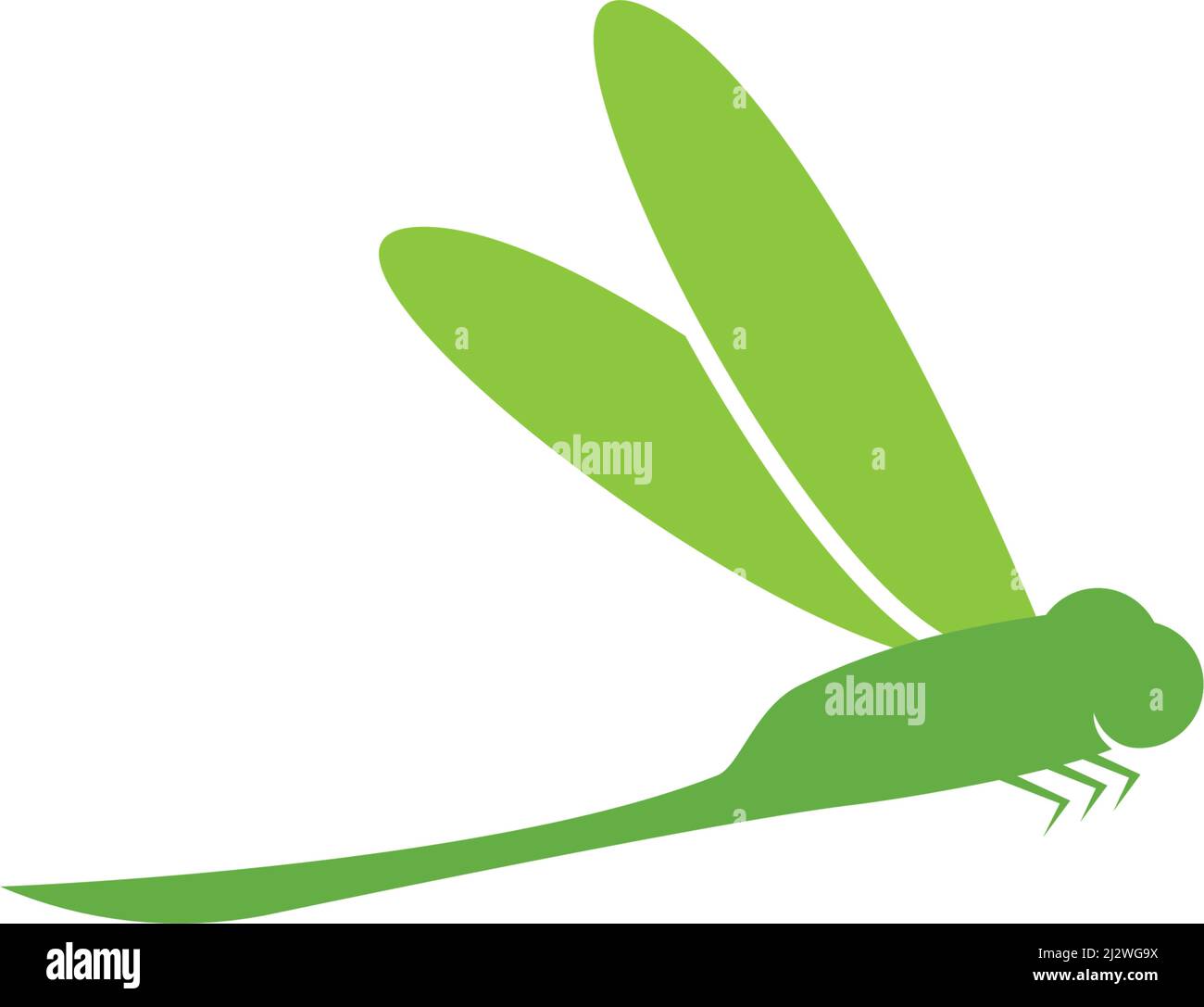 Dragonfly logo vector template Stock Vector