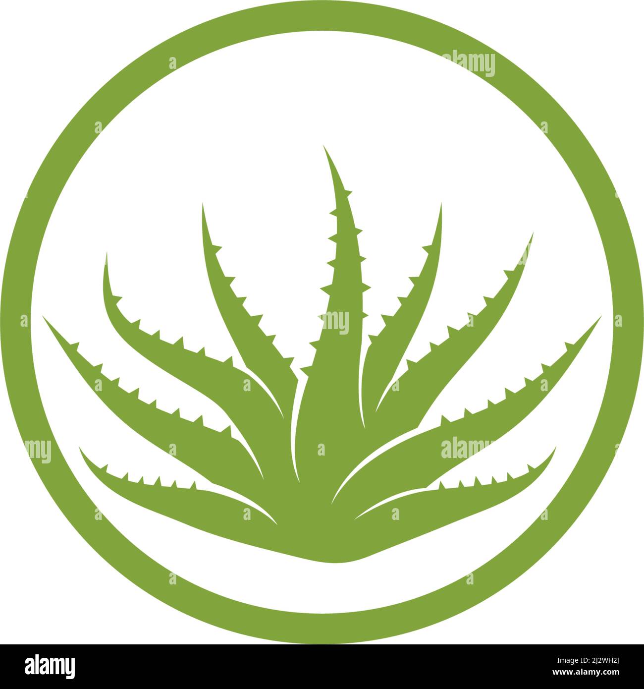 Aloe vera logo vector ilustration template Stock Vector
