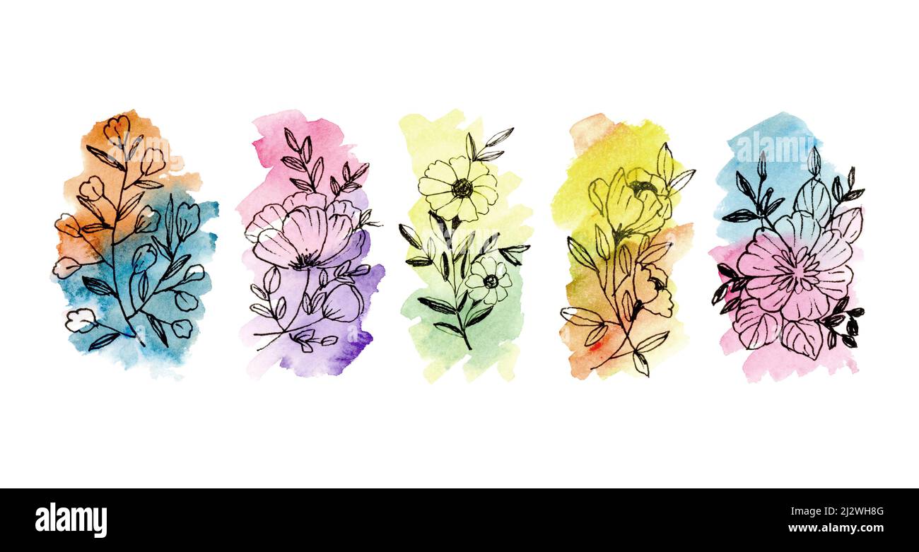 Hand Illustrated Black outline florals with multicolour Watercolour wash Stock Photo