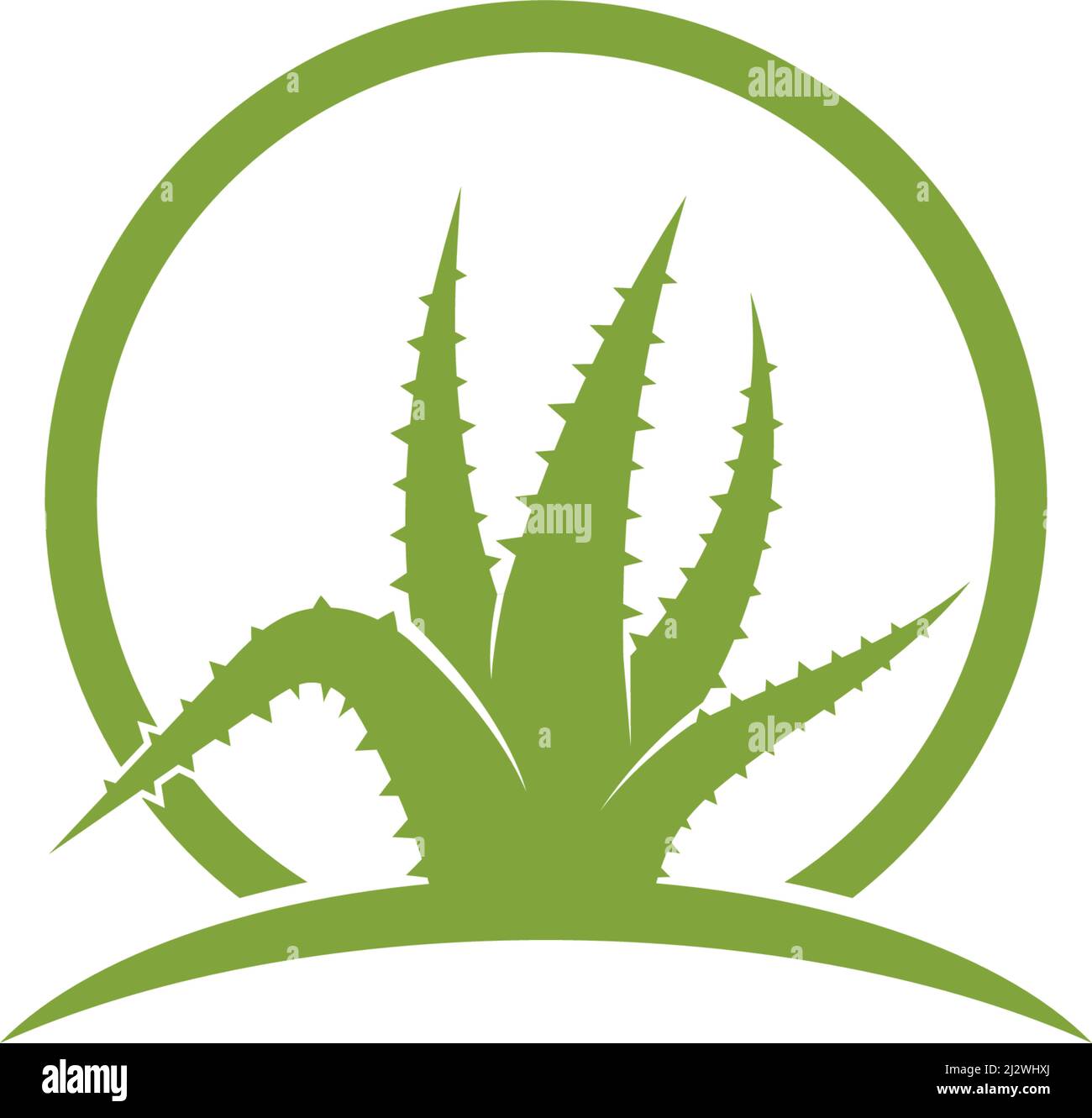 Aloe vera logo vector ilustration template Stock Vector