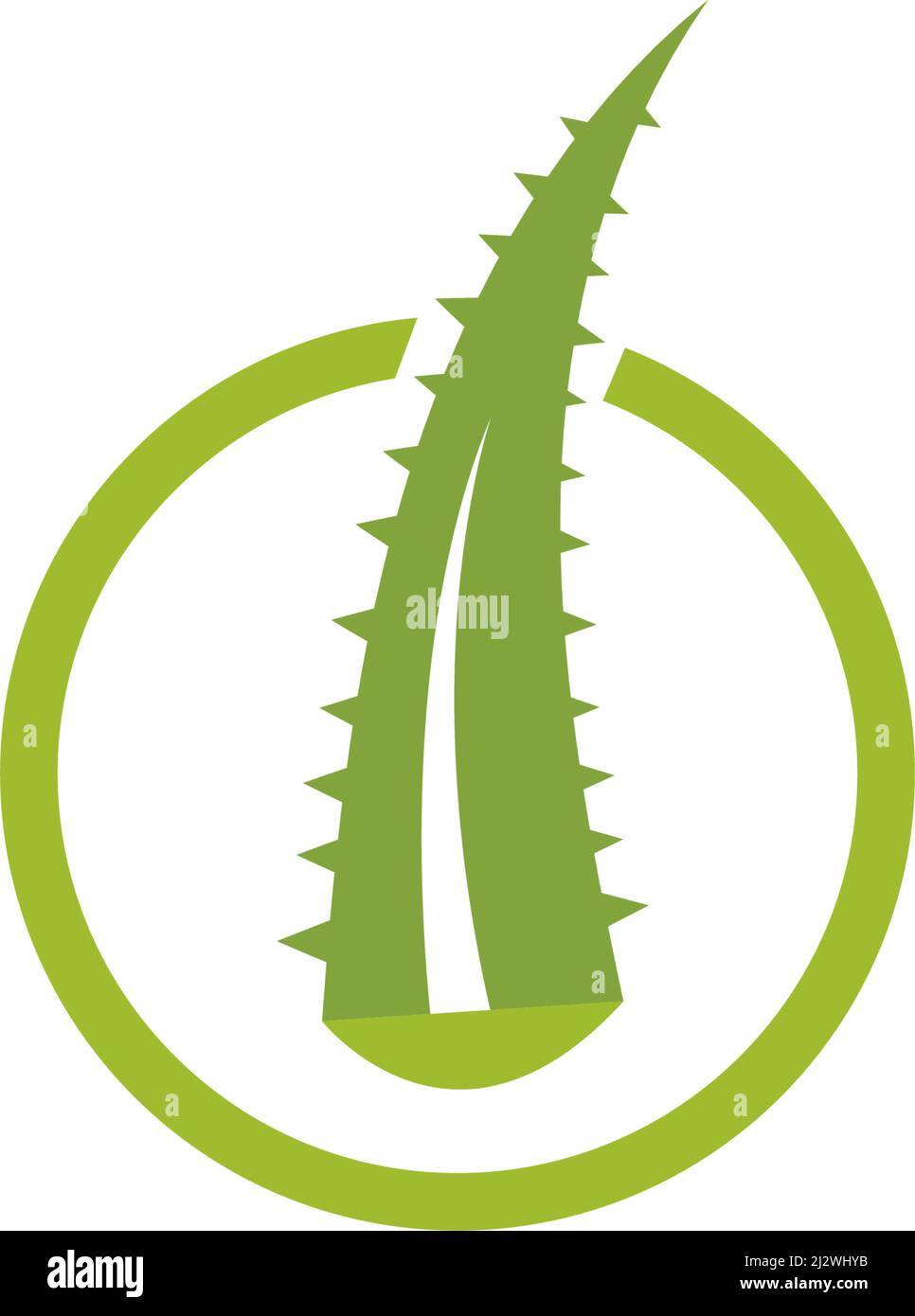 Aloe vera logo vector ilustration template Stock Vector