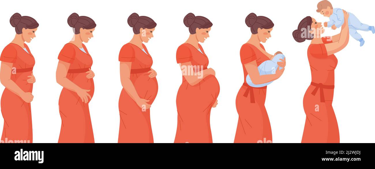 Stage pregnancy. Stage trimester pregnant woman, infographic growth