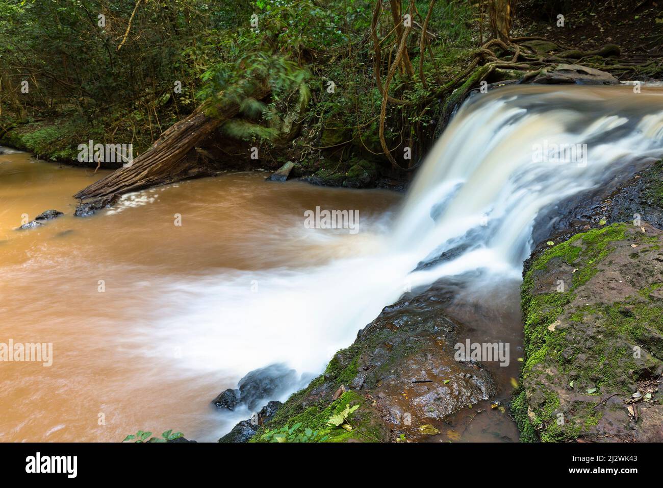Small waterfall of the Nairobi River in Karura Forest, Nairobi, Kenya. Stock Photo