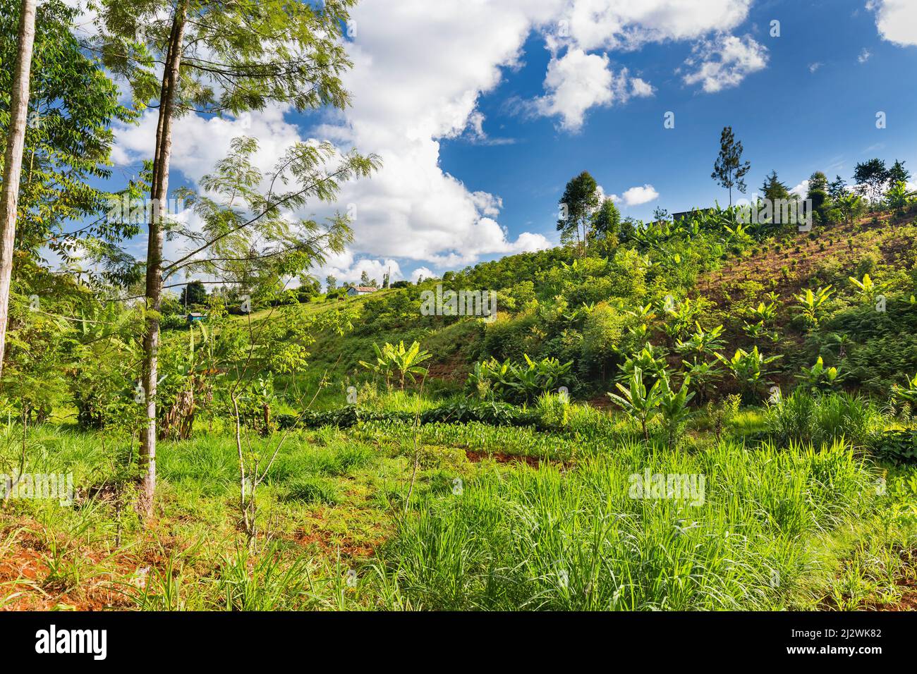 Agricultural landscape in a beautiful valley in the green highlands north of Nairobi in Kenya. Stock Photo