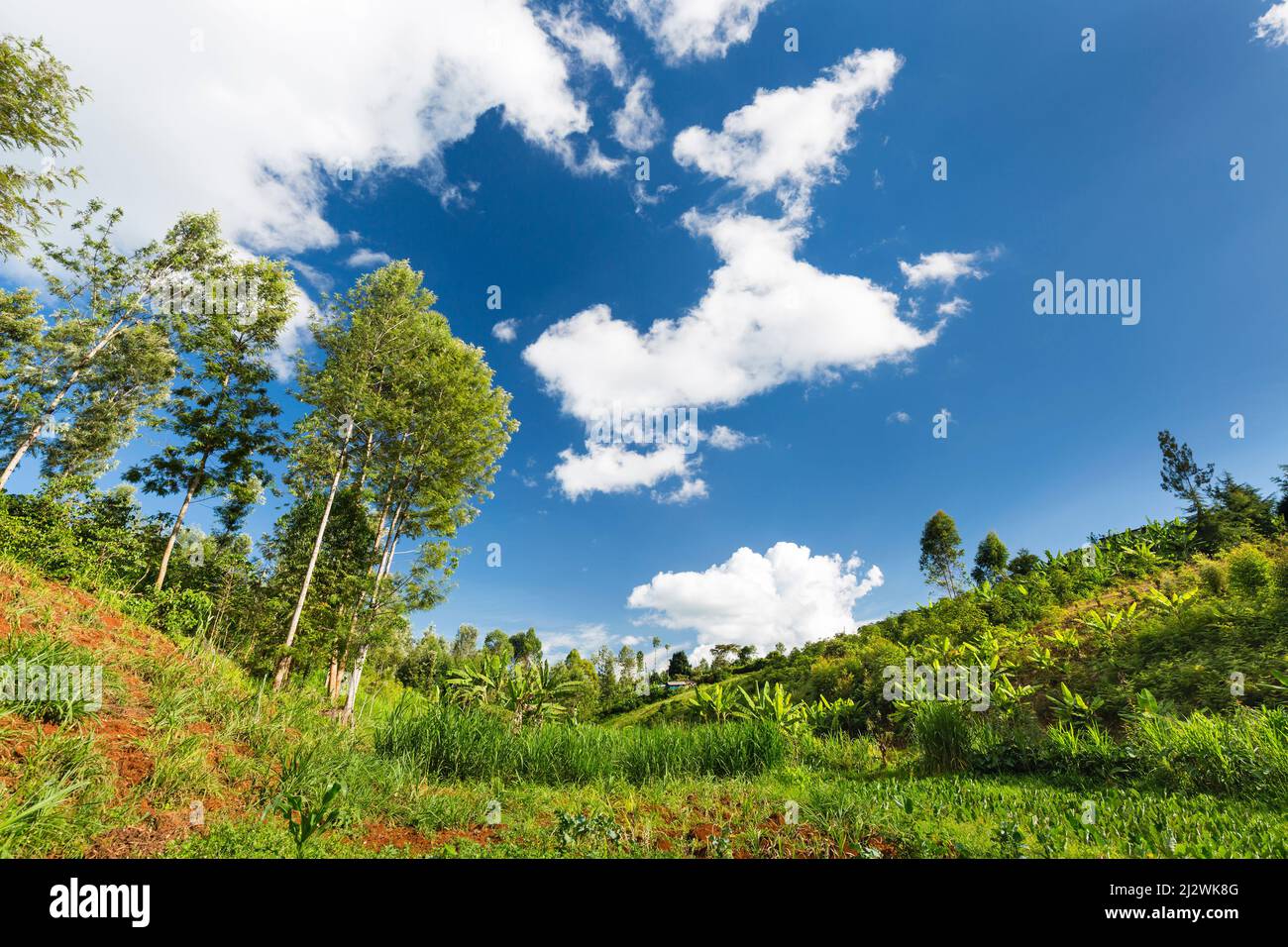 Green landscape in a beautiful valley in the highlands of Kiambu County north of Nairobi in Kenya. Stock Photo