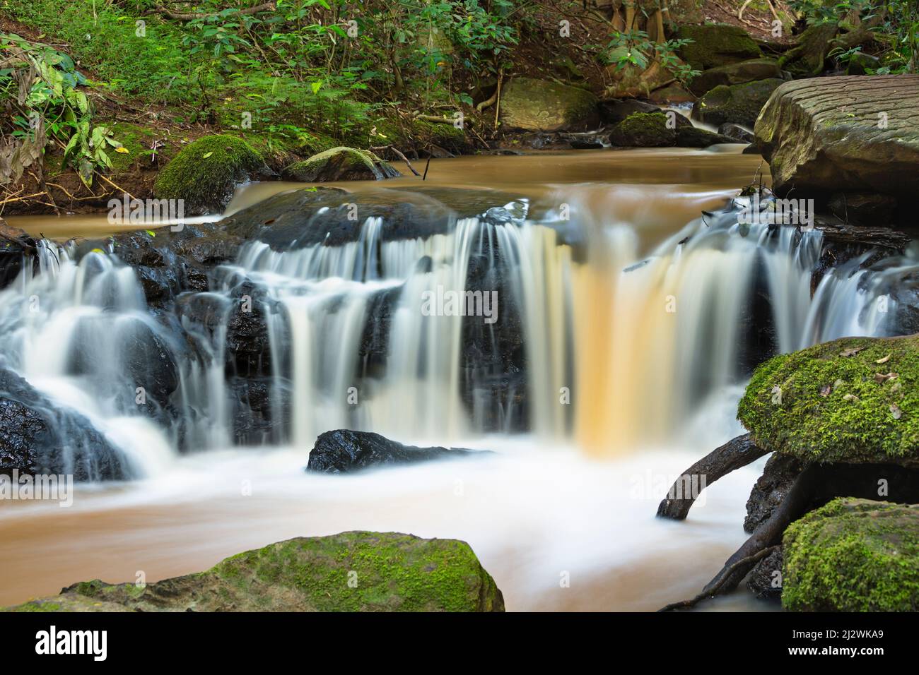 Long exposure shot of a small Nairobi River waterfall in Karura Forest, Kenya. Stock Photo