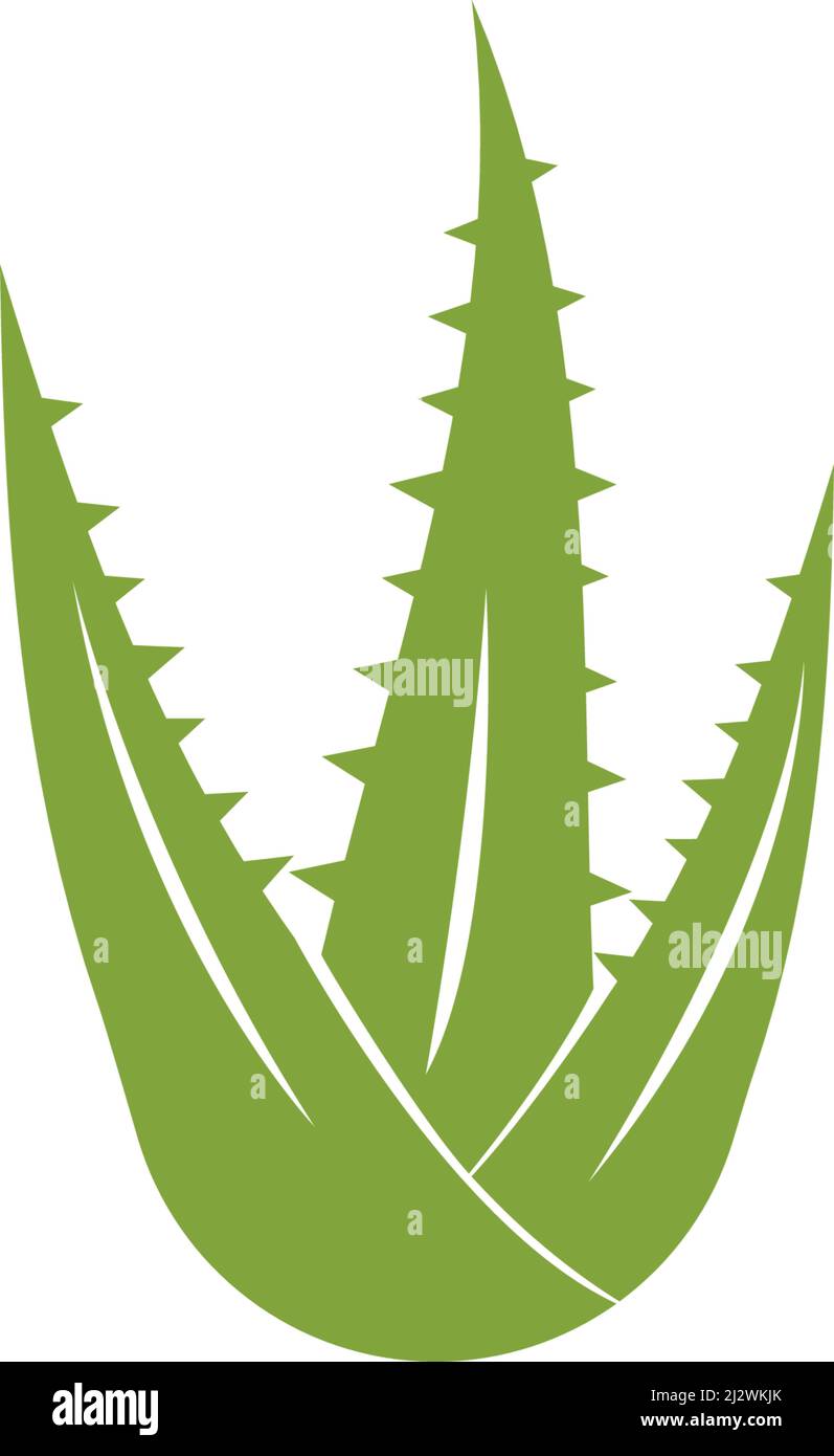 Aloe vera logo vector ilustration template Stock Vector
