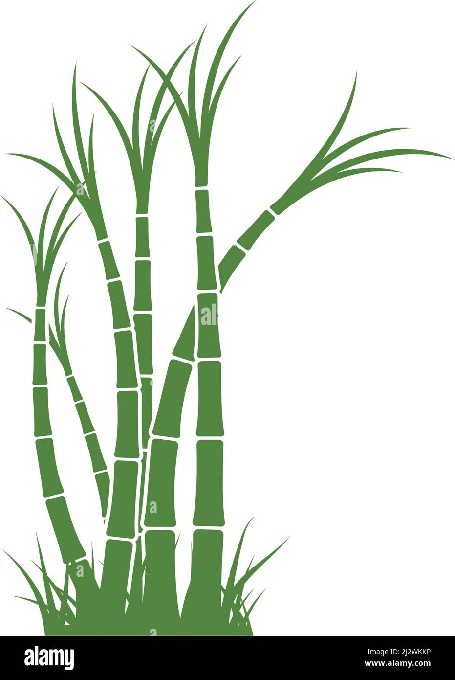 Sugar cane plant logo vector illustration design Stock Vector