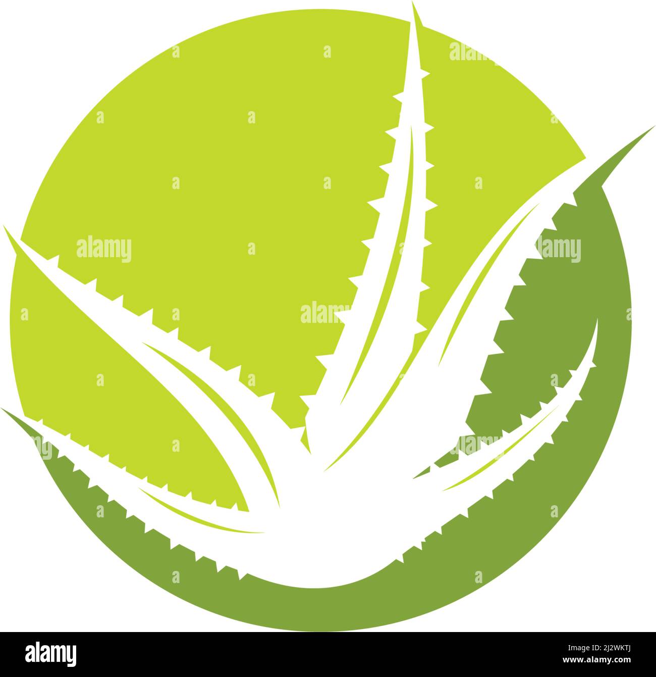 Aloe vera logo vector ilustration template Stock Vector