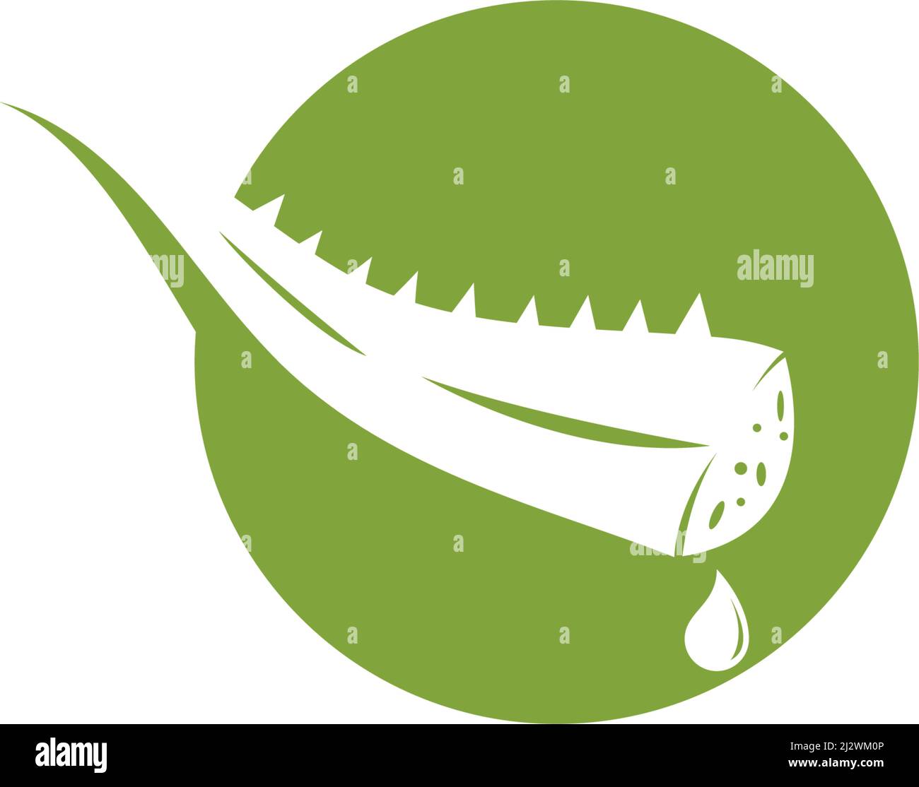 Aloe vera logo vector ilustration template Stock Vector