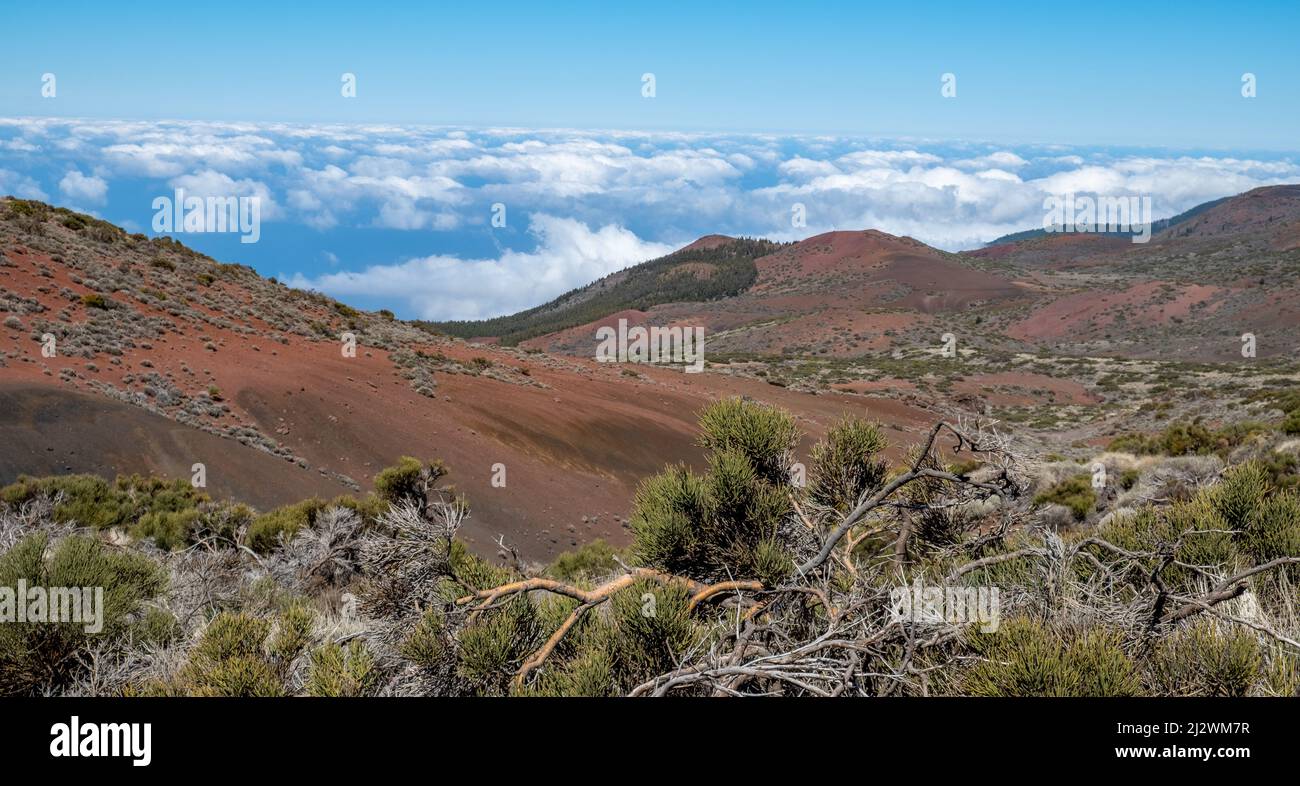 Widescreen view of Teide National Park Tenerife with view to the cloud  covered ocean Stock Photo