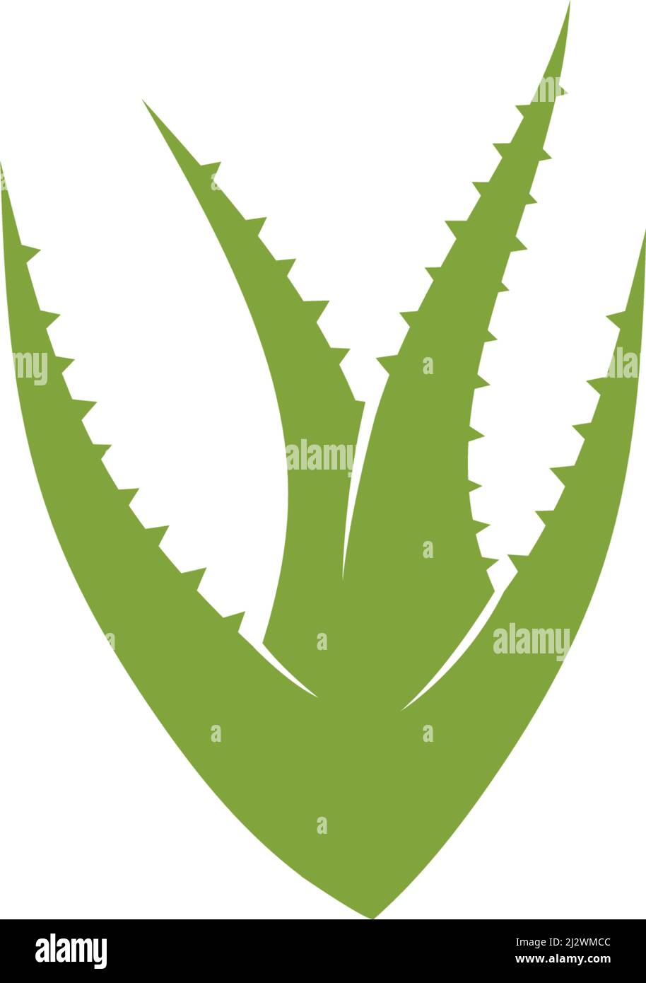 Aloe vera logo vector ilustration template Stock Vector