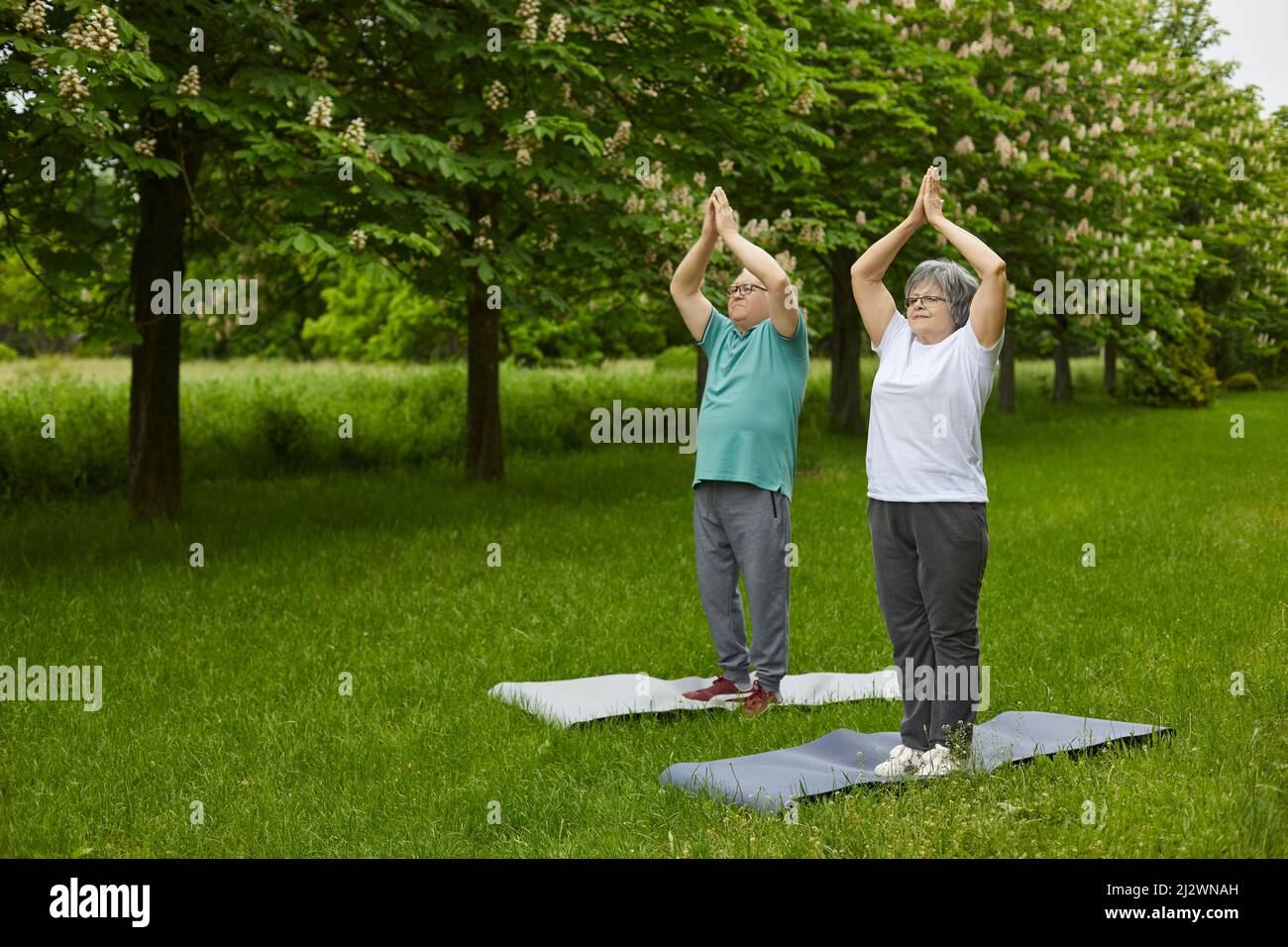 Senior family couple on summer day doing yoga exercises outdoors in the park. Stock Photo