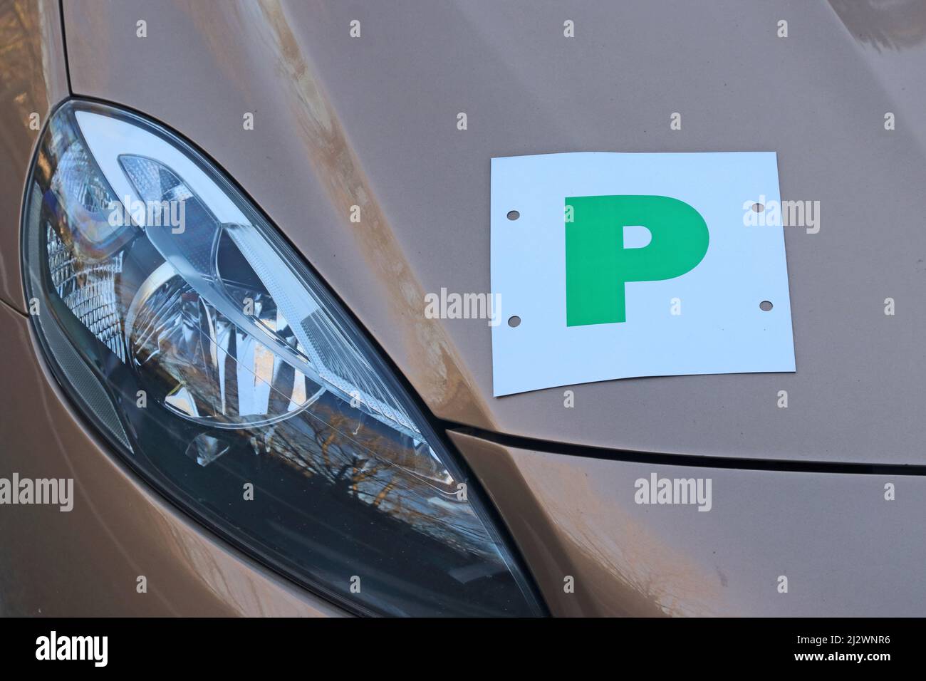 P plate on car indicating probationary driver Stock Photo
