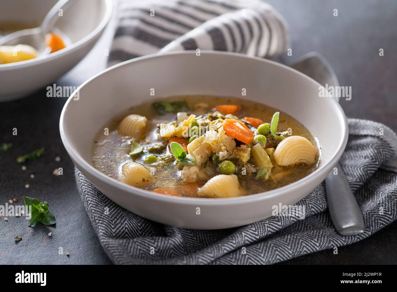 https://c8.alamy.com/comp/2J2WP1R/minestrone-soup-with-fresh-vegetable-close-up-italian-soup-with-pasta-and-seasonal-vegetables-delicious-vegetarian-food-concept-flat-lay-2J2WP1R.jpg