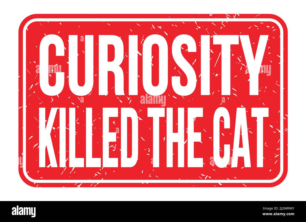 CURIOSITY KILLED THE CAT, words written on red rectangle stamp sign Stock Photo Alamy