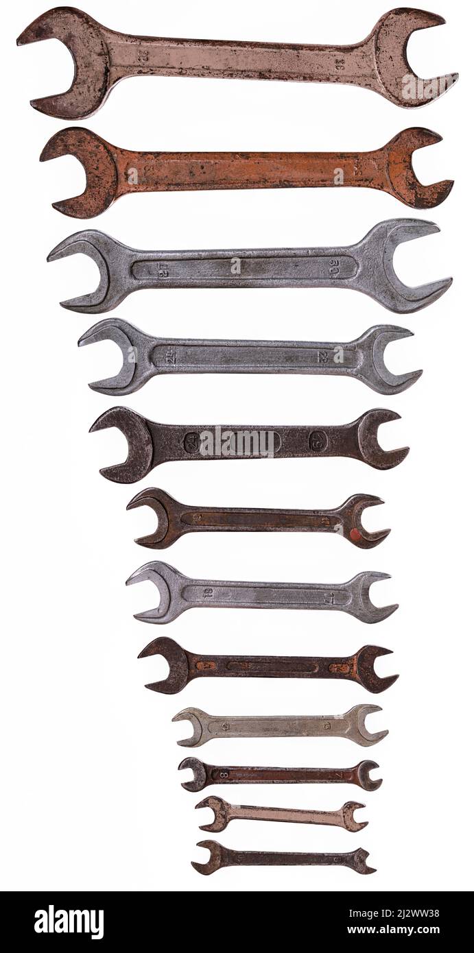 Different types of pine wood sections. Isolated background Stock Photo